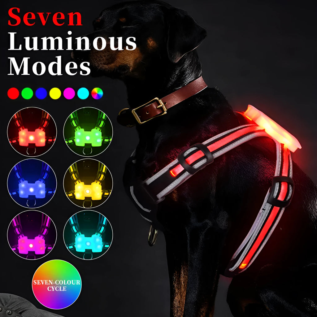 Nylon dog lead with illuminated seven-colour strap and charging cable for night walking