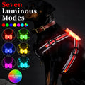 Nylon dog lead with illuminated seven-colour strap and charging cable for night walking