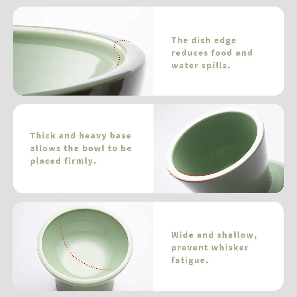 Wide shallow blue elevated ceramic bowl for cat food and water on a floor