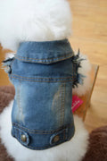 Denim dog vest with retro scratch pattern in dark wash for small breed wear