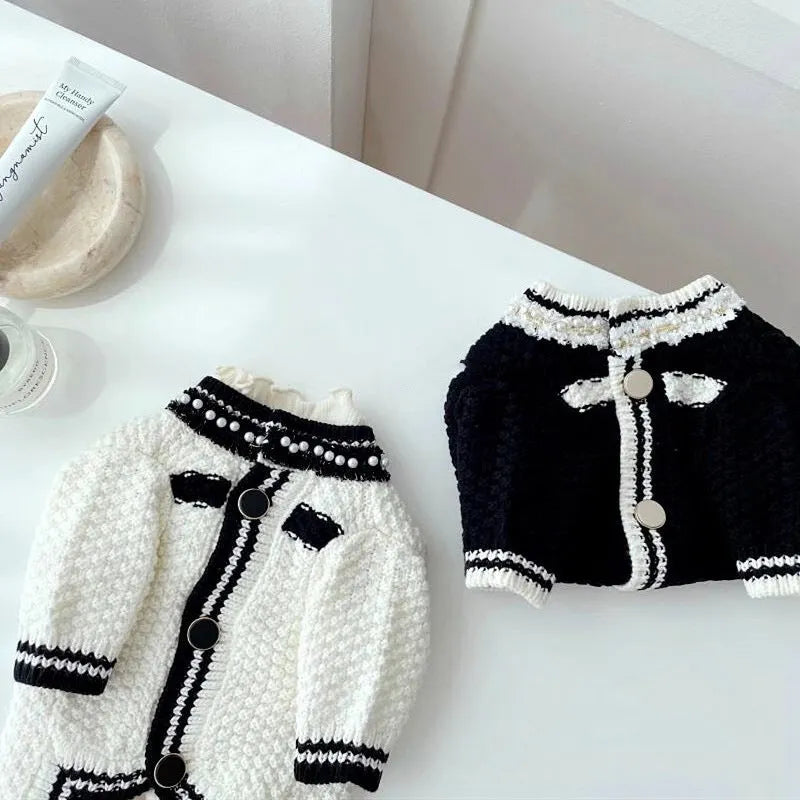 Korean-style white dog sweater with pearl collar on small breed pet