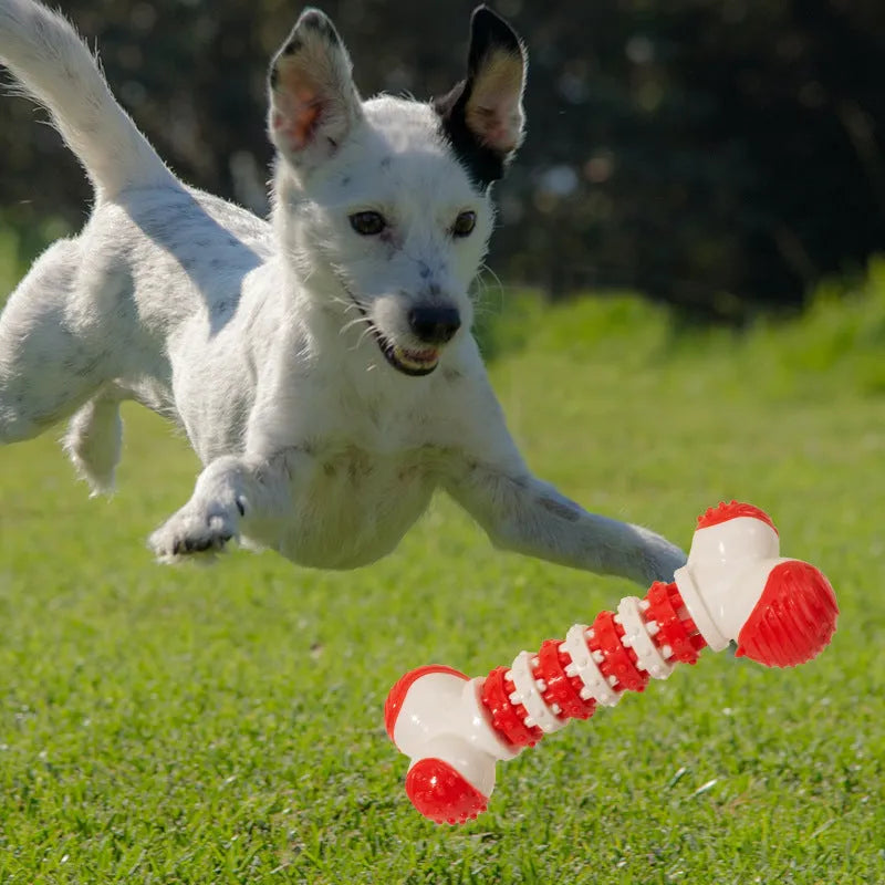 Blue bone-shaped interactive dog toy for small breeds with treat compartment