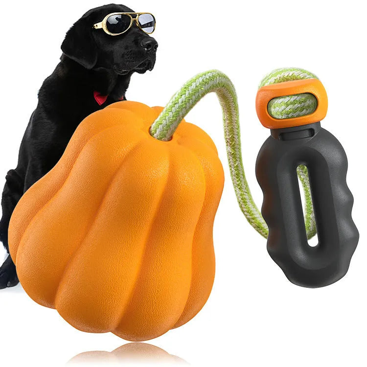 Pumpkin coloured plastic dog chew toy with an attached rope for tugging and fetching.