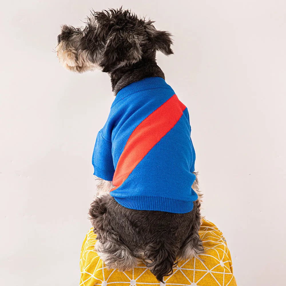 A corgi or poodle wearing a casual-style wool sweater in one of six available colours.