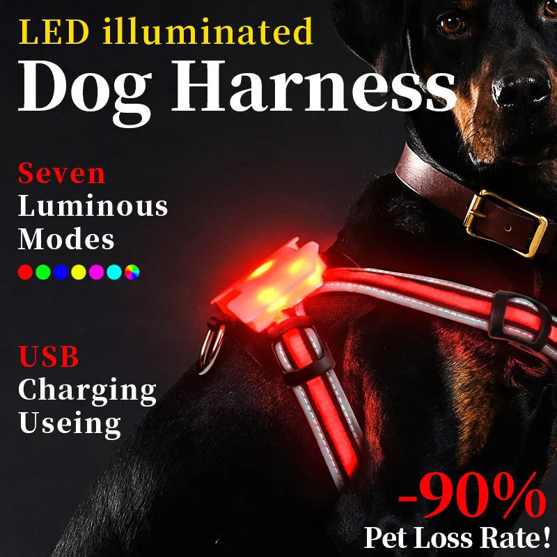 Nylon dog lead with illuminated seven-colour strap and charging cable for night walking