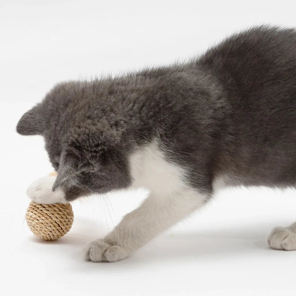 Two cat toy balls: one rattan sphere and one colourful faux feather ball with bell on a neutral background