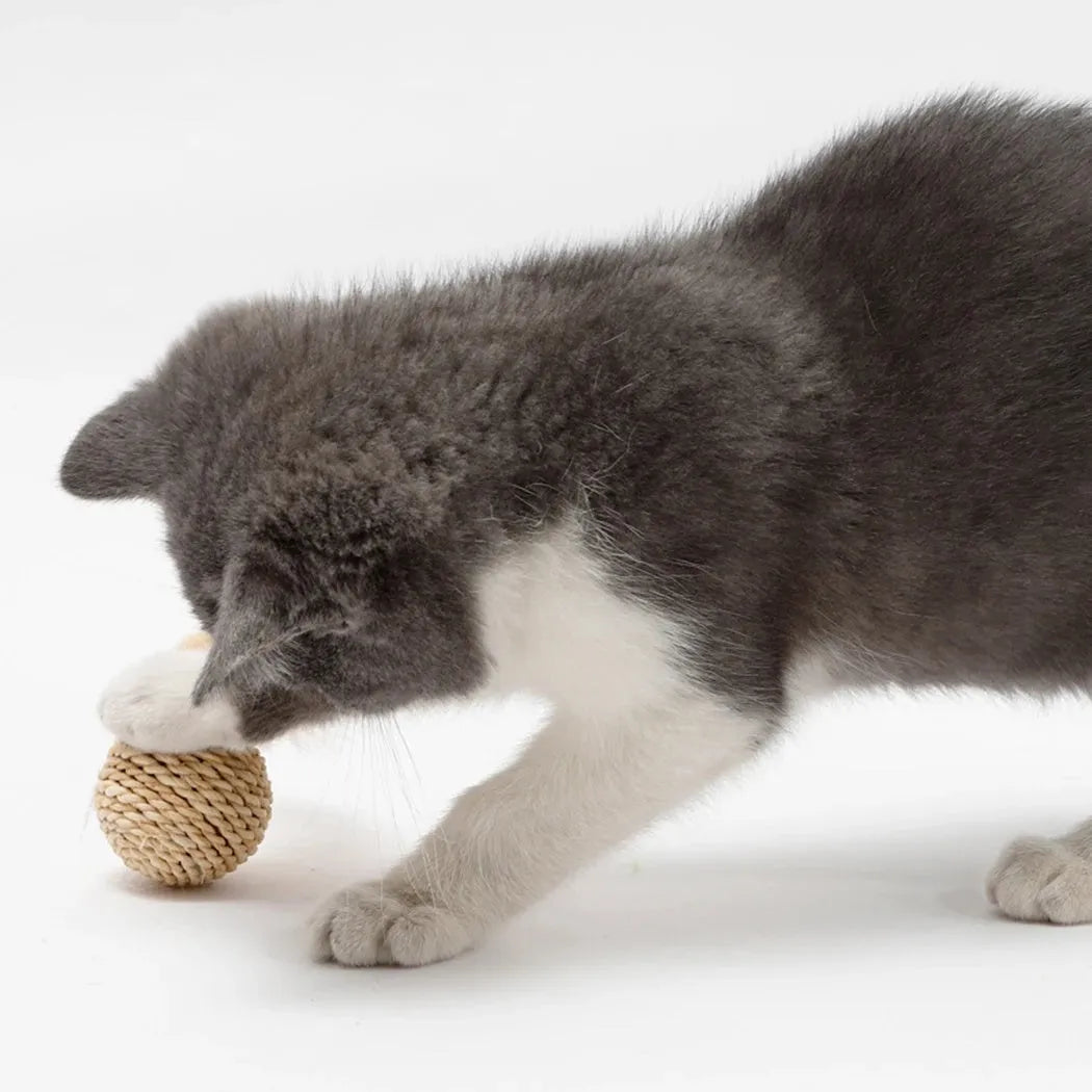 Two cat toy balls: one rattan sphere and one colourful faux feather ball with bell on a neutral background