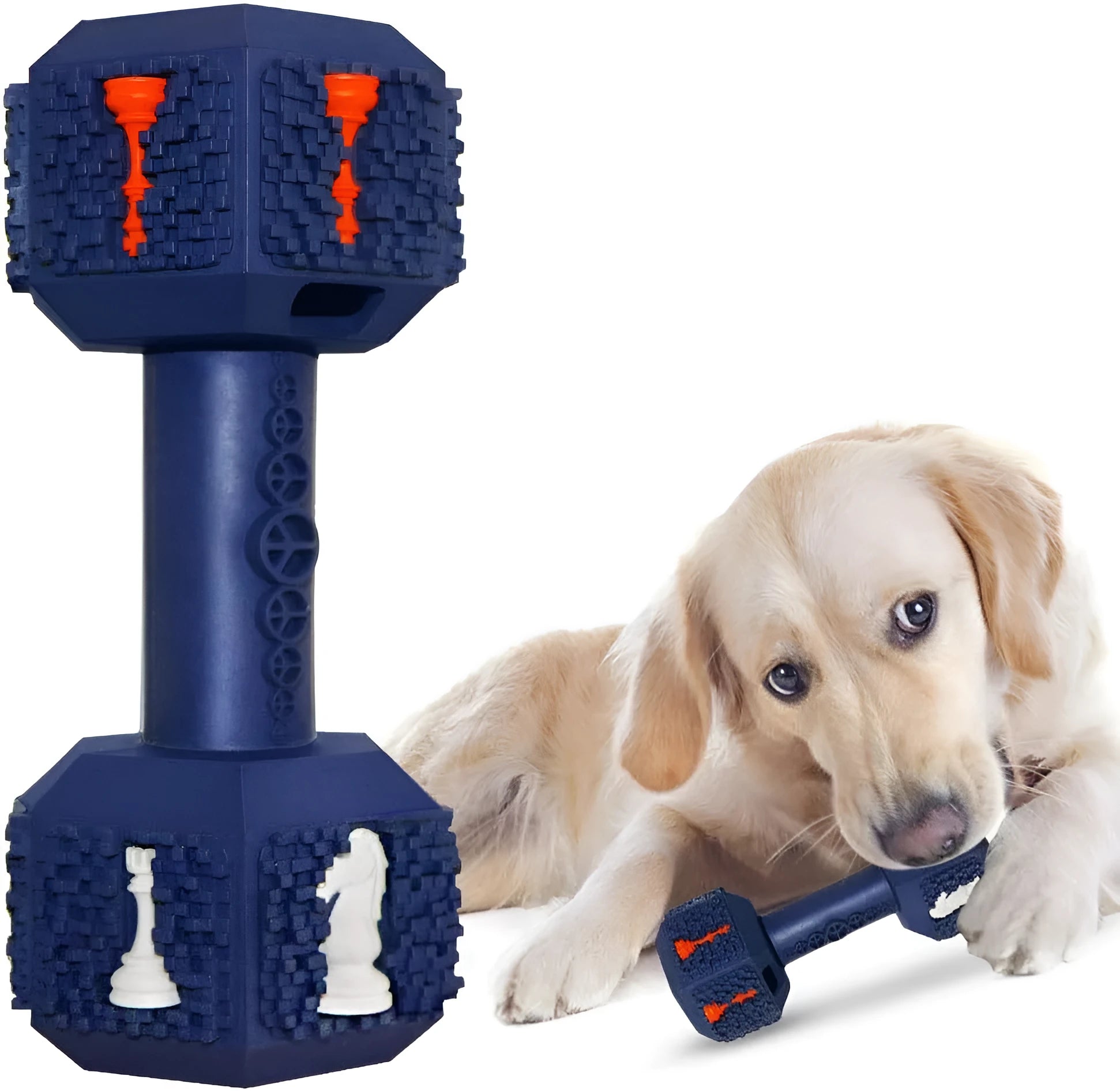 Durable hollow dumbbell dog chew toy in blue with textured surface for dental care, shown next to a treat.
