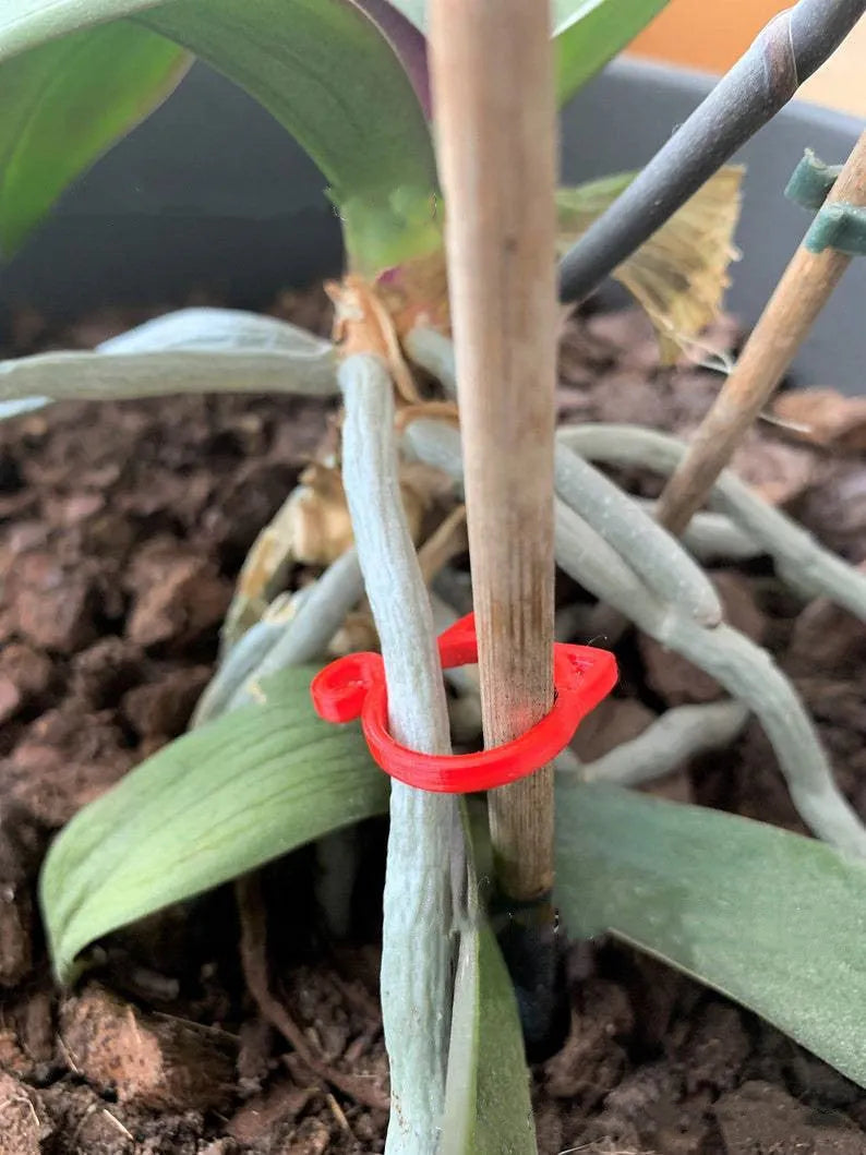 Cat-shaped plastic gardening clip in green colour measuring 3x4cm for plant support