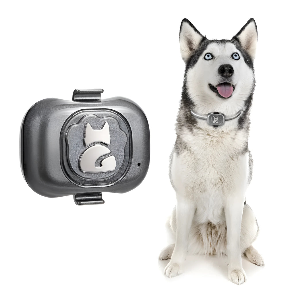 Black GF-07 pet GPS locator device with hanging rope for collar attachment
