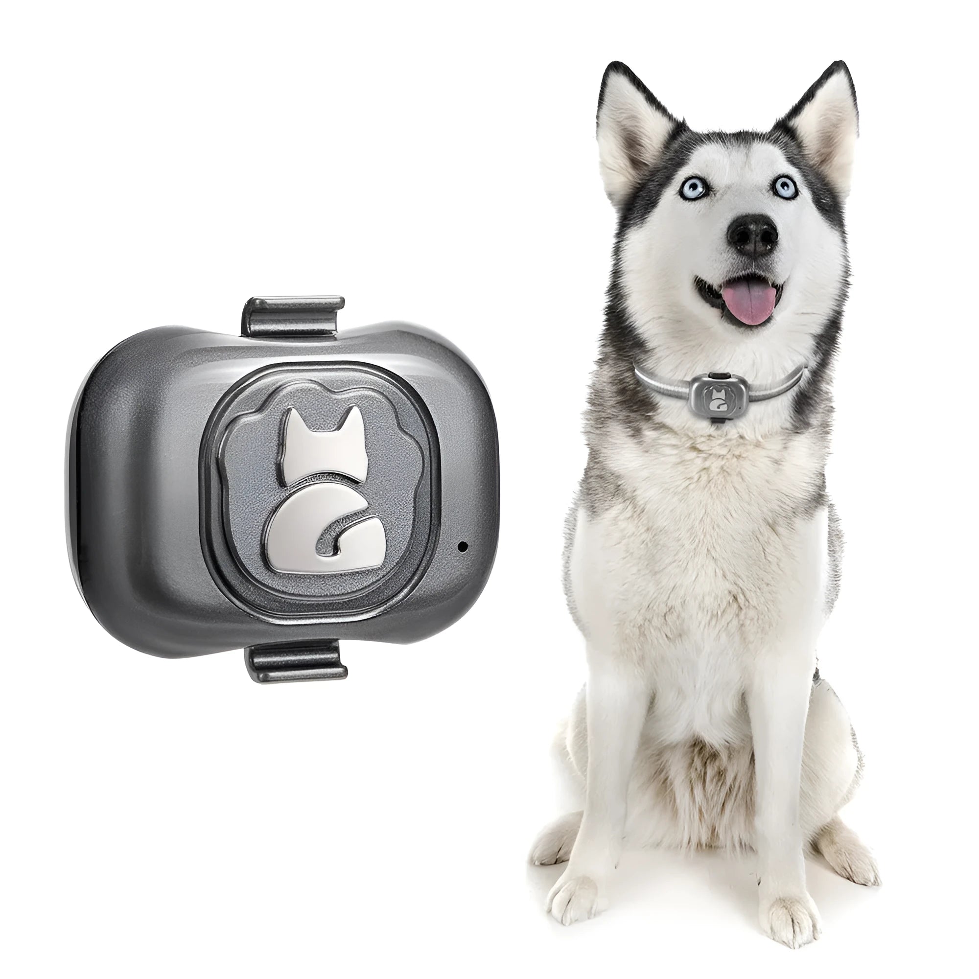 Black GF-07 pet GPS locator device with hanging rope for collar attachment