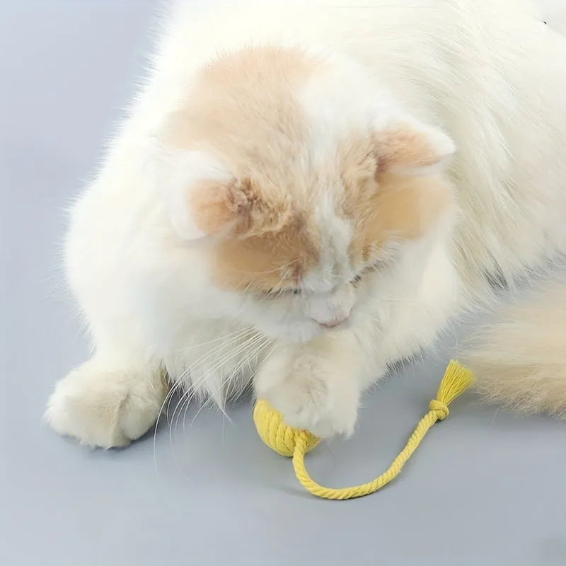 Green cat toy ball with a rope handle looped through it, shown next to a smaller pink version.