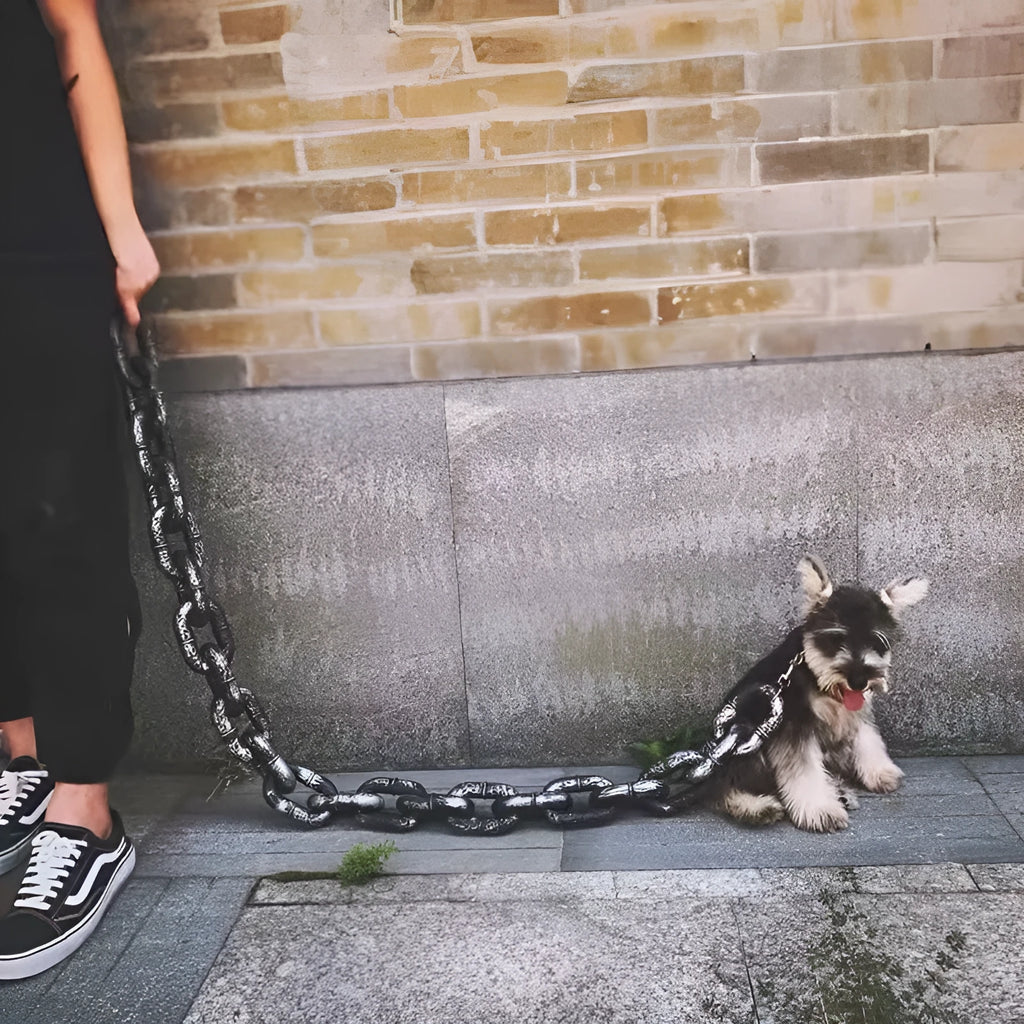 Metallic colour dog leash prop for pet walking and video filming in three length options