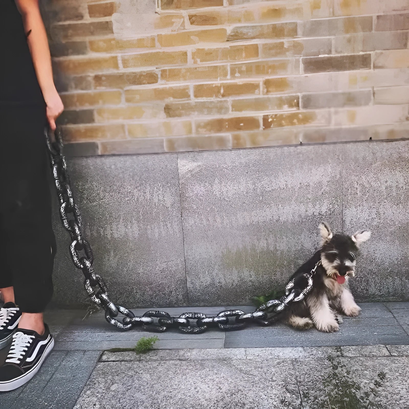 Metallic colour dog leash prop for pet walking and video filming in three length options