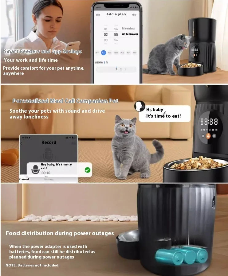 Black automatic pet feeder with digital display and food hopper on a countertop.