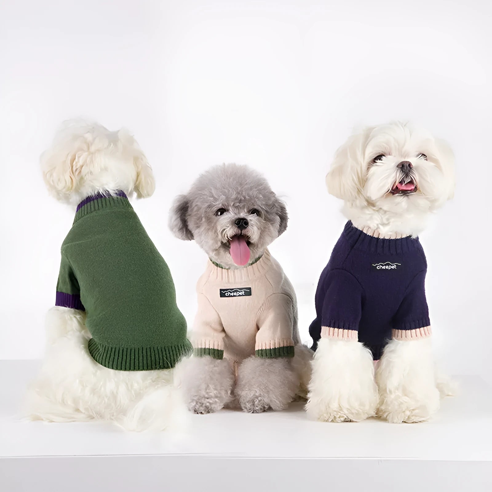 British style wool pet sweater on a small dog, showing the two-leg design in Crown Blue colour.