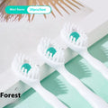 Box of disposable bead toothbrushes in assorted flavours for travel
