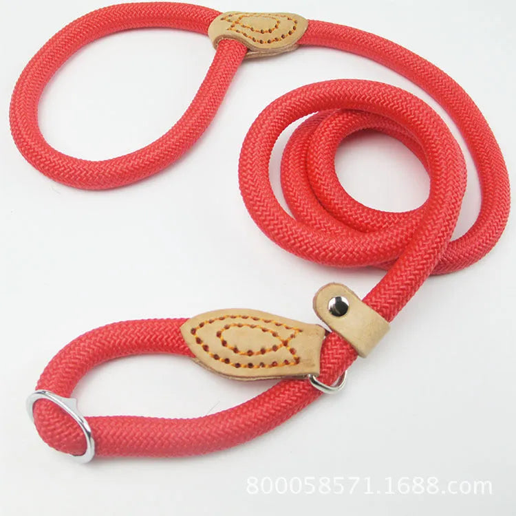 Brown nylon dog leash with hand holding rope, length 2.1 metres