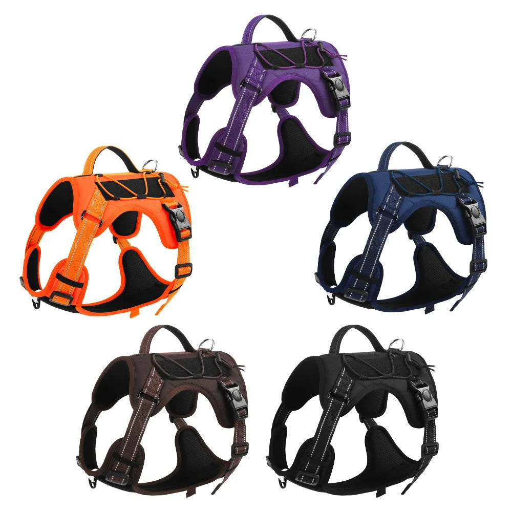 Orange reflective dog harness with explosion-proof hand holding rope on a medium-sized dog.