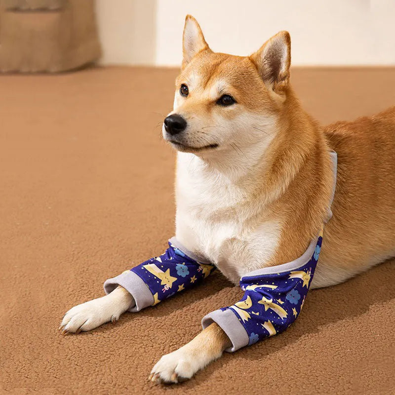 Dog wearing blue knee protector with padded elbow patch and matching scarf