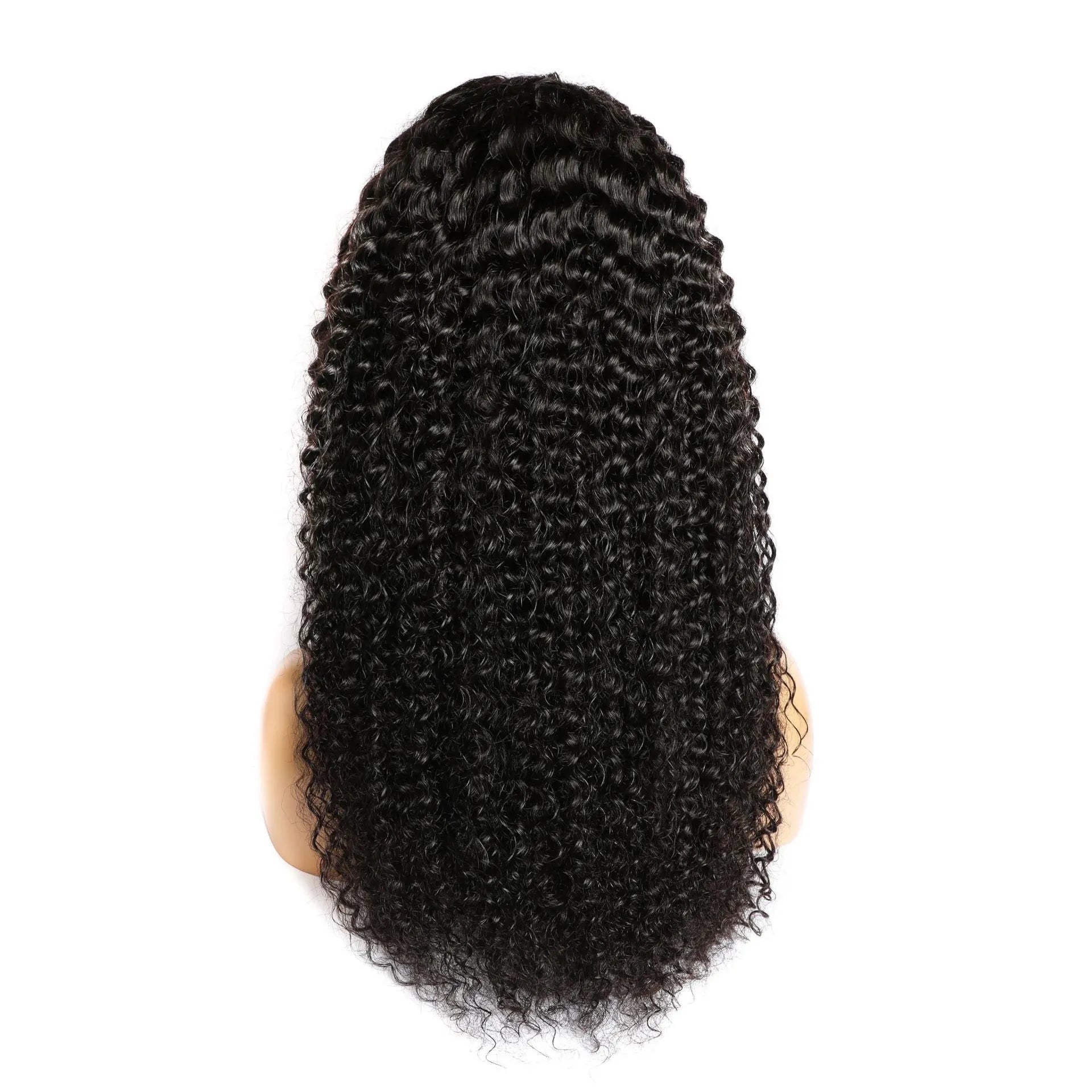 Curly human hair lace front wig showing natural hairline and defined curls