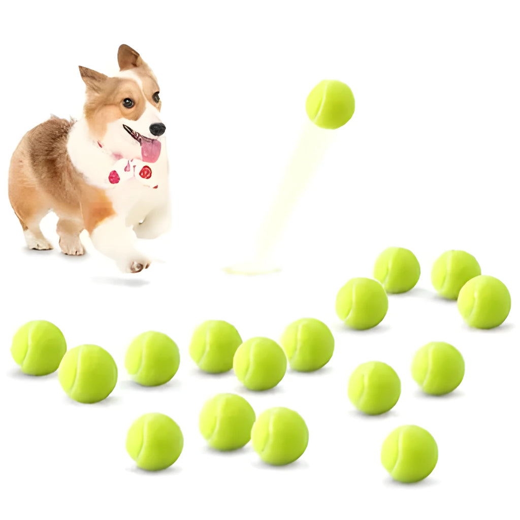 Colourful 6.3cm diameter rubber dog tennis ball toy for bite-resistant play