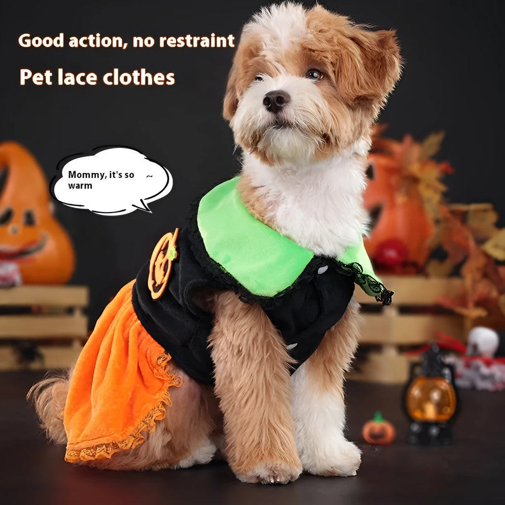 Crystal velvet pet Halloween costume in pumpkin skirt and sweater styles for small dogs and cats