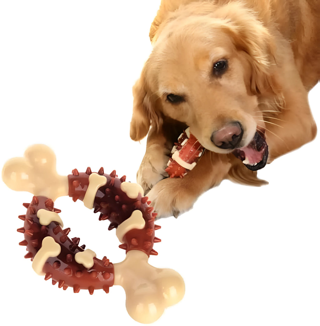 Natural rubber bone-shaped dog dental chew toy in two sizes for teeth grinding