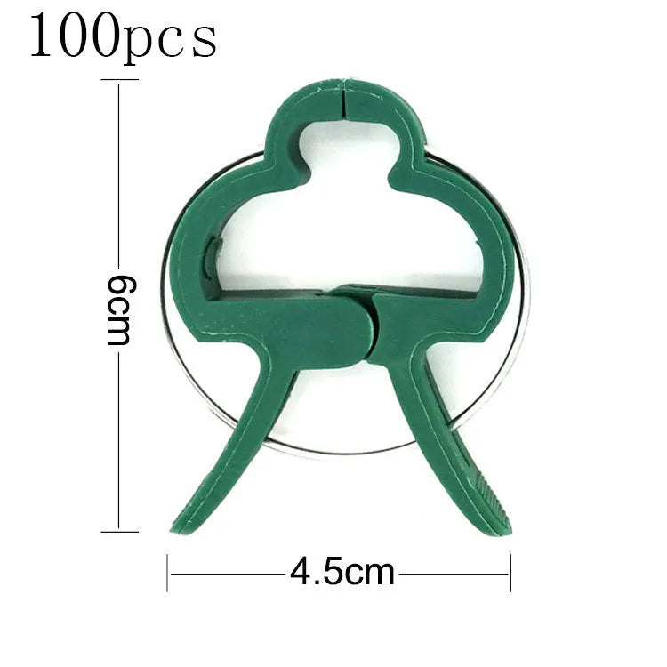 Green plastic and zinc plant support clips, showing large and small sizes for vines and tomatoes.