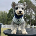 Blue and white reflective letter pet sweater for cats and dogs in slim fit polyester