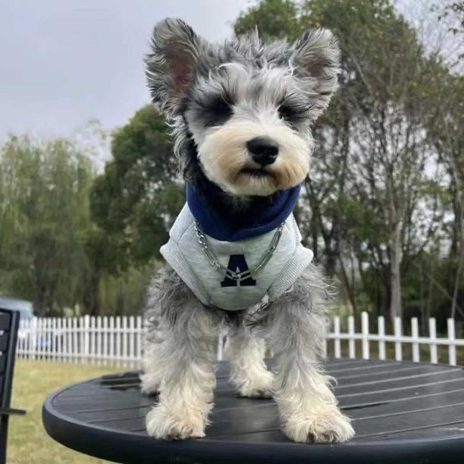 Blue and white reflective letter pet sweater for cats and dogs in slim fit polyester