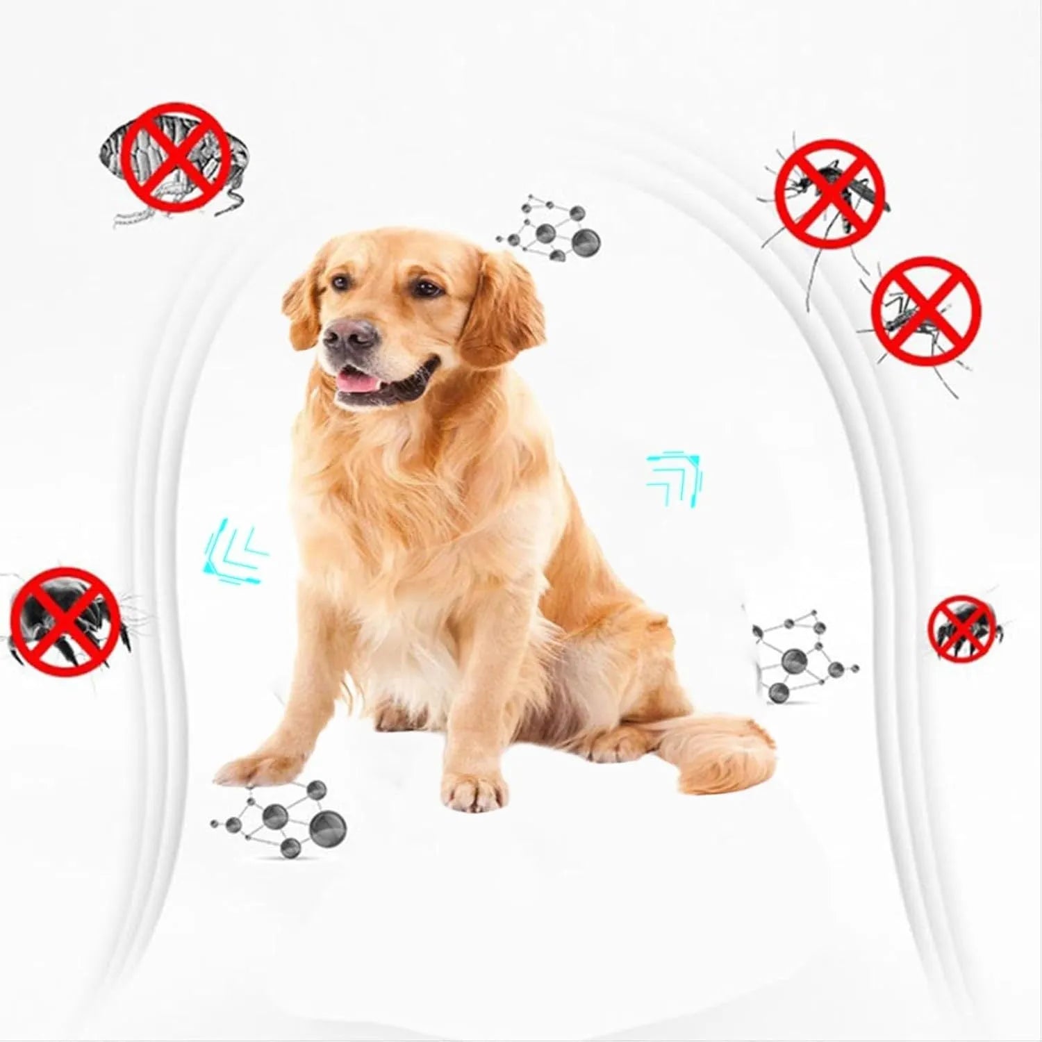 Double-sided plastic flea comb for pets showing dense teeth and 5cm length measurement