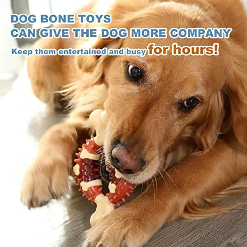 Natural rubber bone-shaped dog dental chew toy in two sizes for teeth grinding