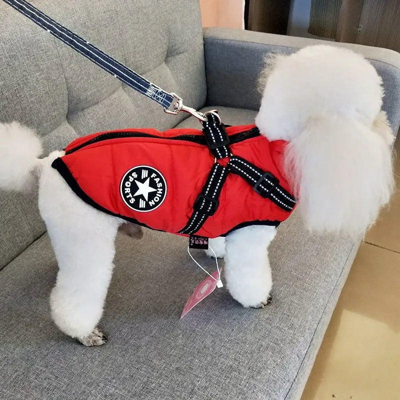 Red waterproof dog coat with built-in harness on a large breed dog.