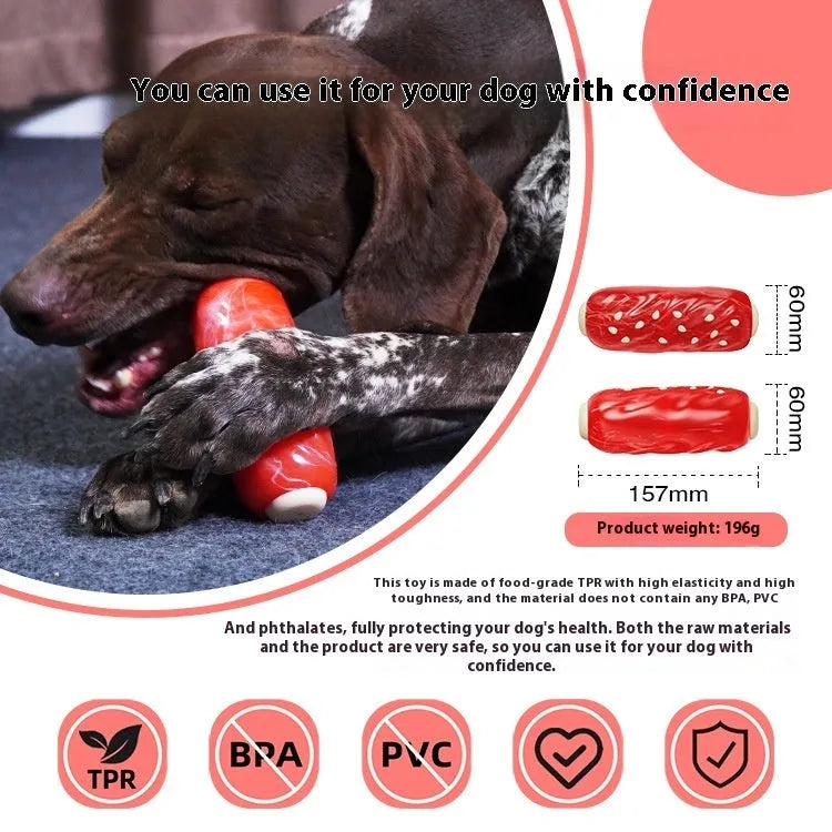 Primary colour plastic glue toothbrush shaped dog chew toy with molar rod texture and snack compartment
