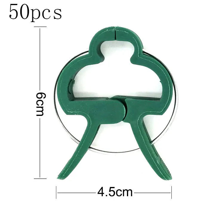 Green plastic and zinc plant support clips, showing large and small sizes for vines and tomatoes.