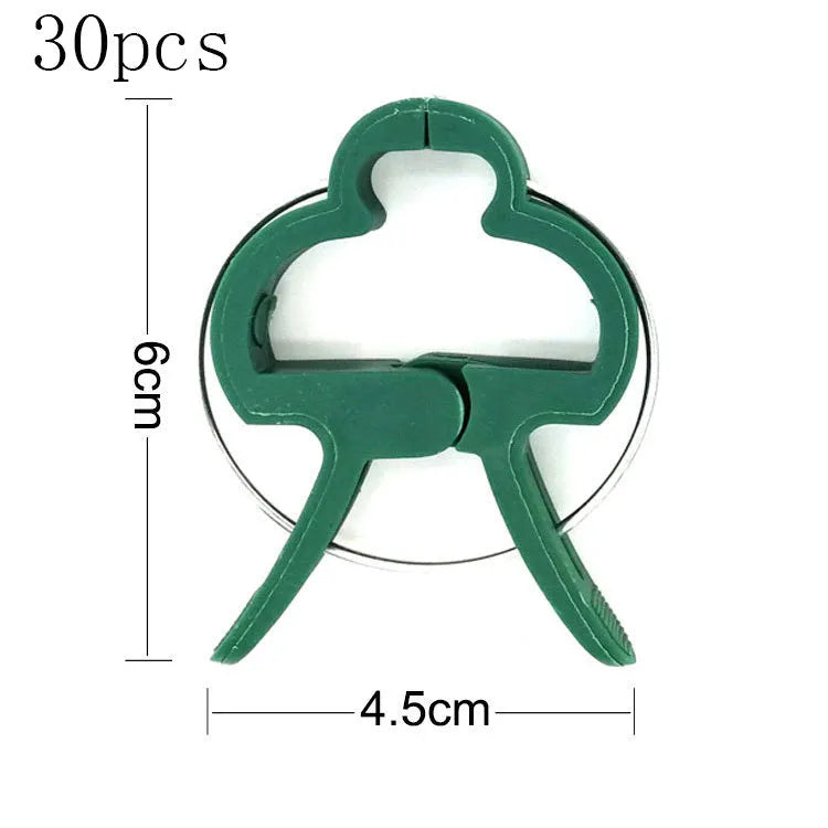 Green plastic and zinc plant support clips, showing large and small sizes for vines and tomatoes.
