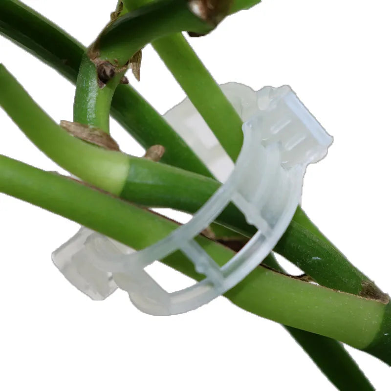 50 plastic plant clips for gardening, used to support tomato plants and climbing flowers