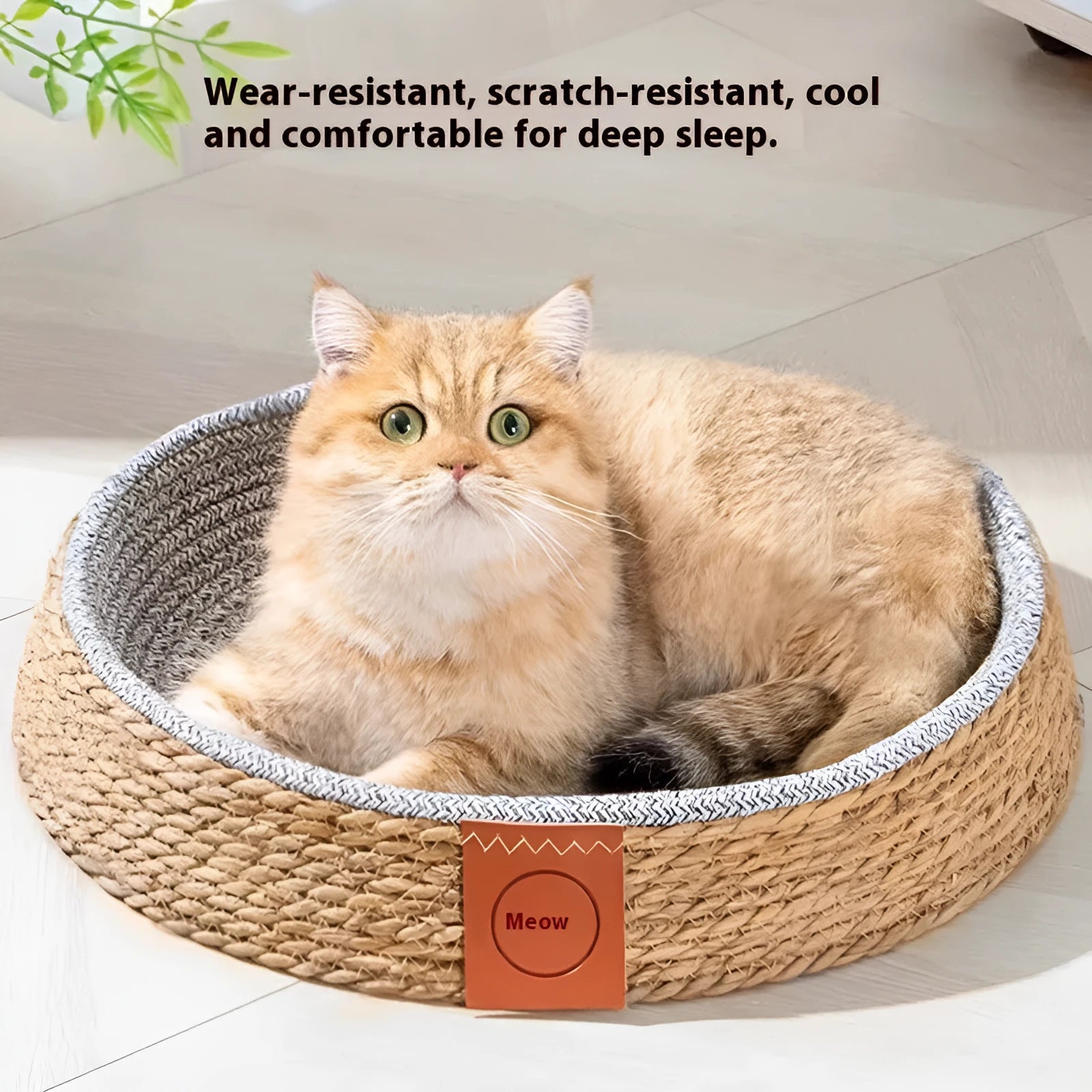 Rattan woven cat nest pet bed available in four sizes S, M, L, and XL
