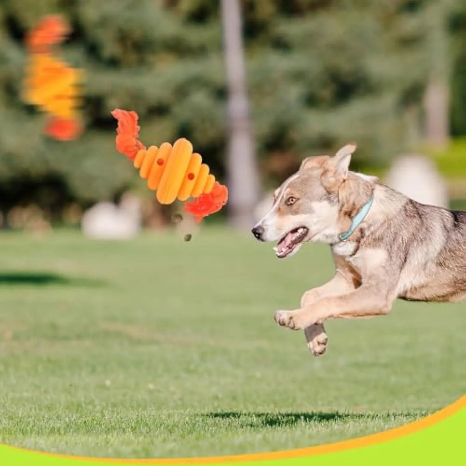 Green and yellow silicone dog ball with attached knot rope toy on grass.