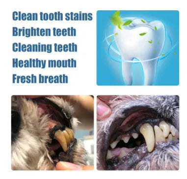 Pet teeth whitening pen with brush applicator for dog and cat dental care