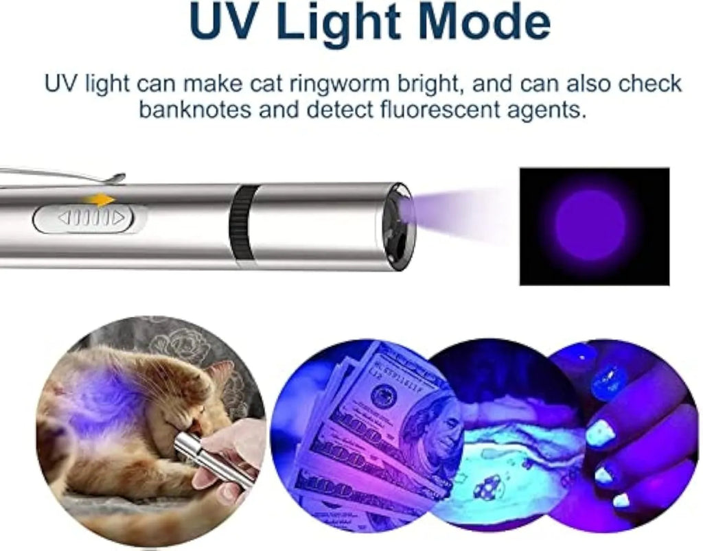 Silver aluminium alloy cat laser pointer toy with USB charging port and multiple light patterns.