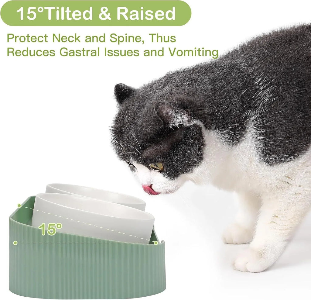Green ceramic elevated cat bowl set with 15-degree tilt and non-slip base
