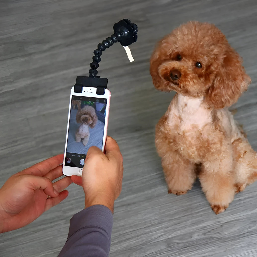 Black and white pet selfie stick with extendable arm, square clip, and flower clip on blister card packaging.