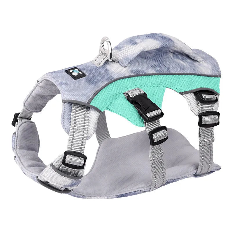 Reflective light blue polyester dog harness with chest strap on a small dog.