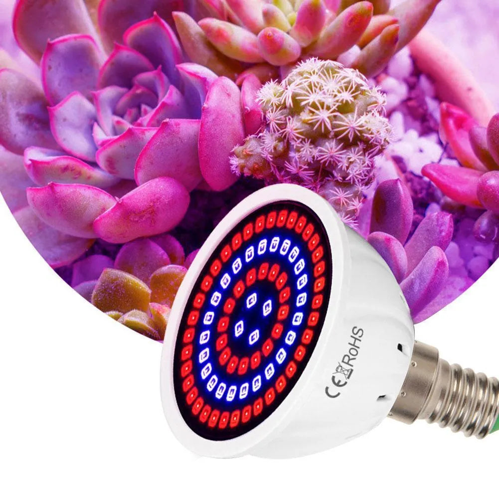 White LED plant growth fill light with 80 beads for indoor potted plants covering 30-80 square centimetres.