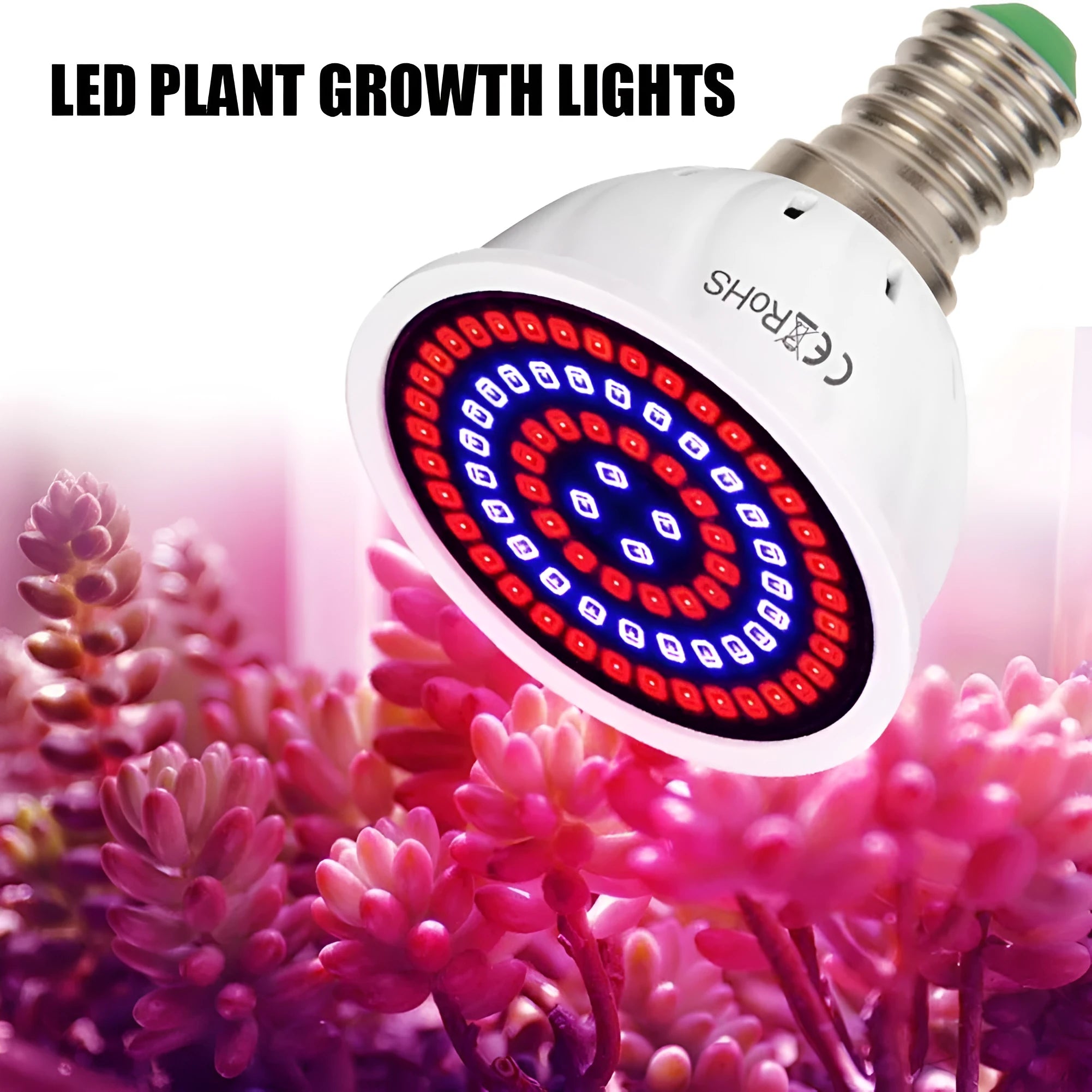 White LED plant growth fill light with 80 beads for indoor potted plants covering 30-80 square centimetres.