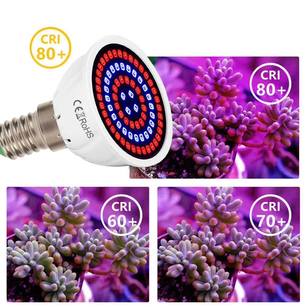 White LED plant growth fill light with 80 beads for indoor potted plants covering 30-80 square centimetres.