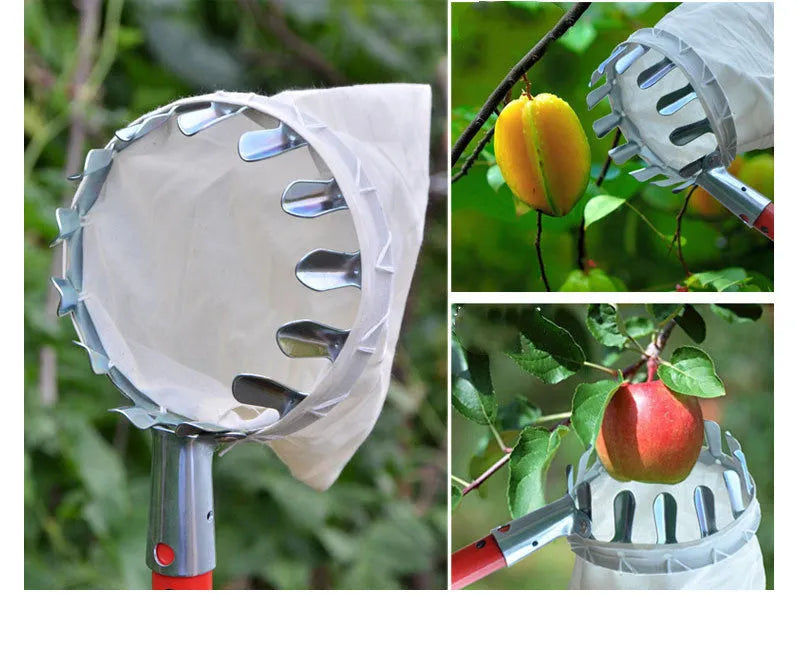 Steel fruit picker tool with cloth catcher bag for harvesting pears, citrus, and peaches