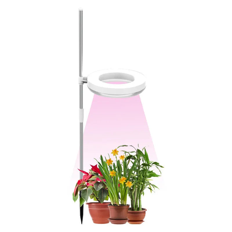 Compact black LED plant growth lamp with adjustable arms on a wooden desk next to small potted succulent.
